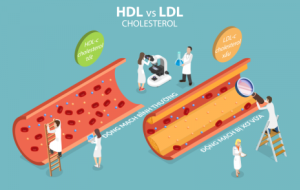 Rối loạn lipid máu: nguyên nhân, biến chứng, điều trị và phòng ngừa